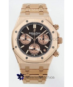 Royal Oak Chrono 26240 Rose Gold Strap in Brown Dial Super Clone Watch 